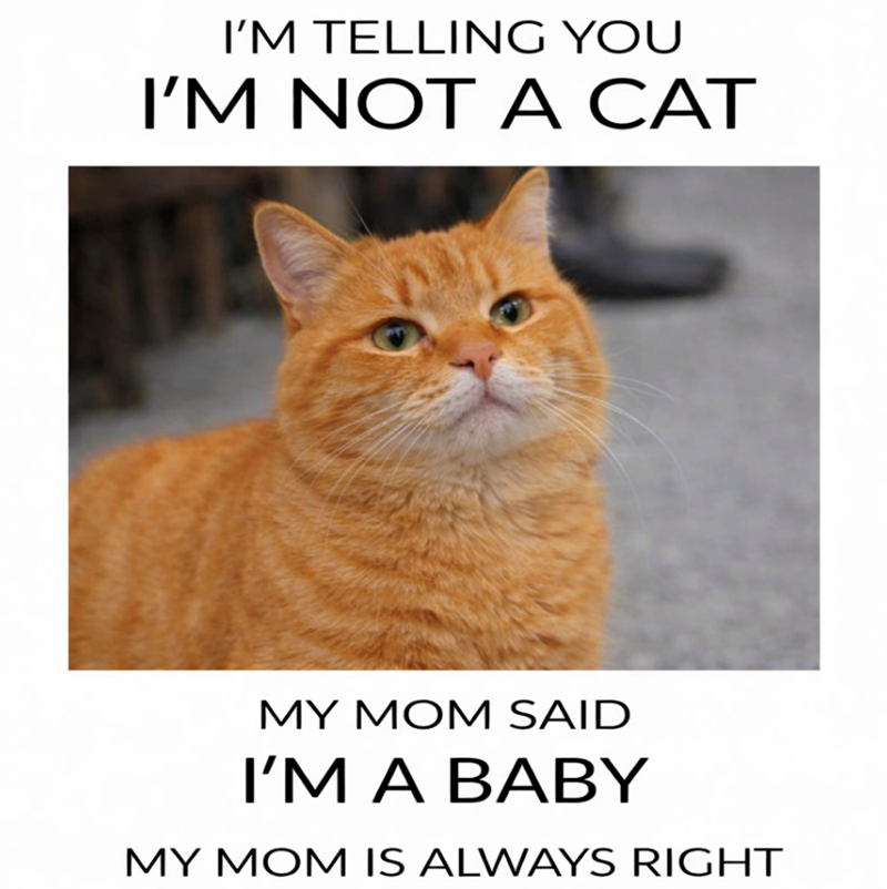 I'M TELLING YOU I'M NOT A CAT MY MOM SAID I'M A BABY MY MOM IS ALWAYS RIGHT