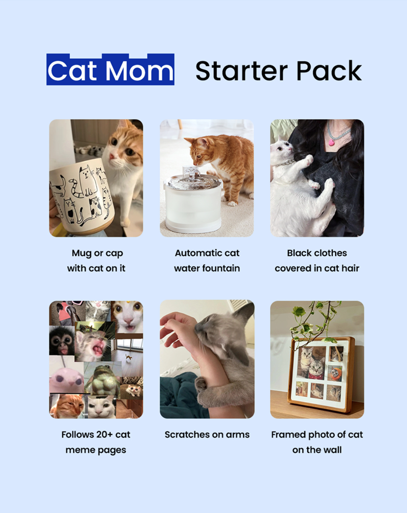 Cat Mom Starter Pack Mug or cap with cat on it Automatic cat water fountain Black clothes covered in cat hair Follows 20+ cat Scratches on arms Framed photo of cat meme pages on the wall