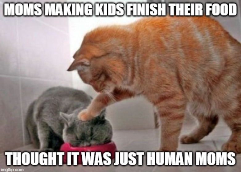 MOMS MAKING KIDS FINISH THEIR FOOD THOUGHT IT WAS JUST HUMAN MOMS imgflip.com