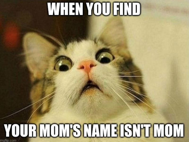 WHEN YOU FIND YOUR MOM'S NAME ISN'T MOM imgflip.com