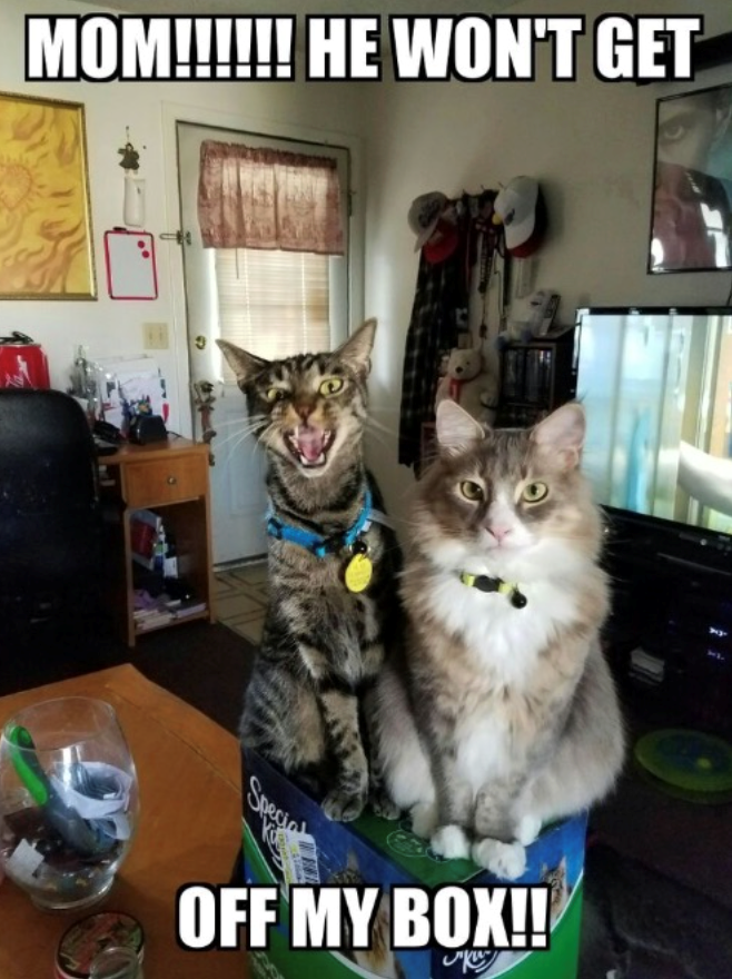 MOM!!!!!! HE WON'T GET Special OFF MY BOX!!