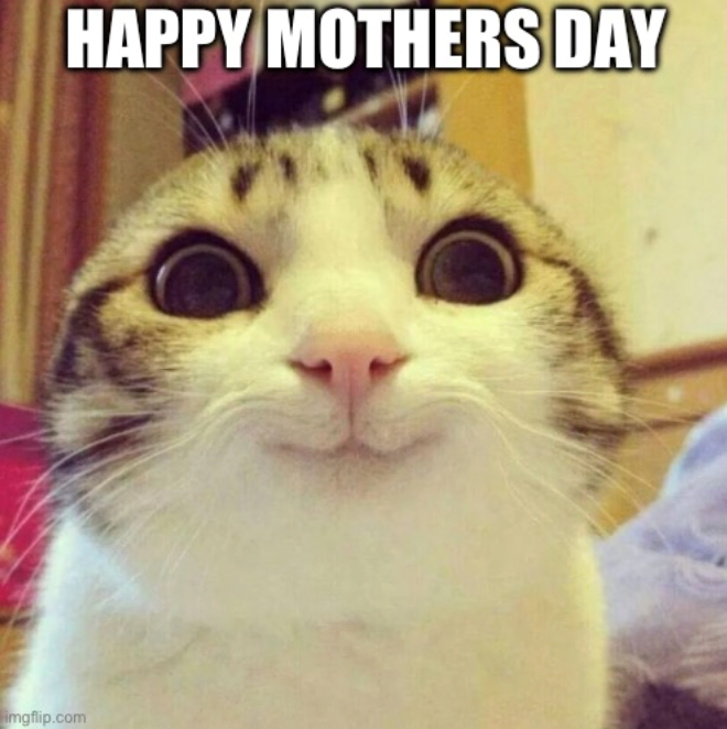 HAPPY MOTHERS DAY imgflip.com