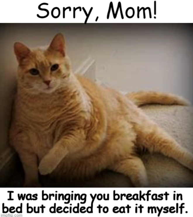 Sorry, Mom! I was bringing you breakfast in bed but decided to eat it myself. imgflip.com