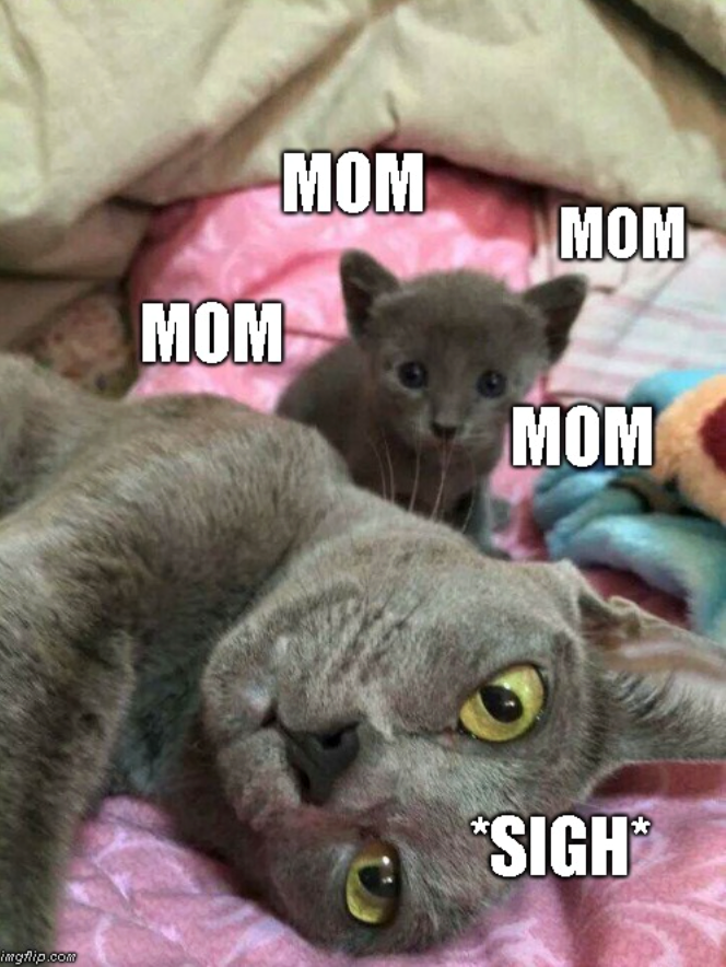 imgflip.com MOM MOM MOM MOM *SIGH*