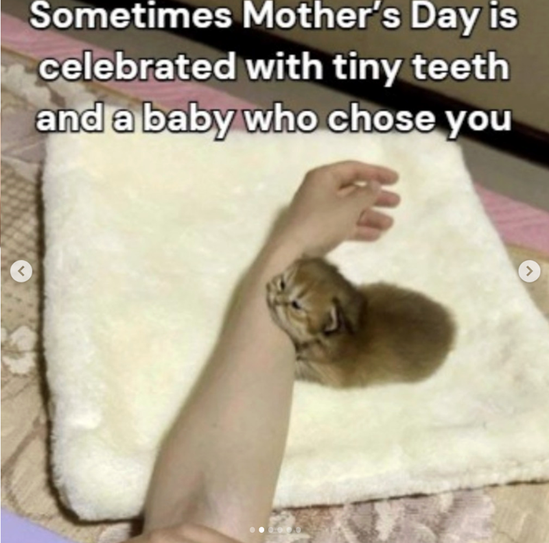 Sometimes Mother's Day is celebrated with tiny teeth and a baby who chose you 0000 >