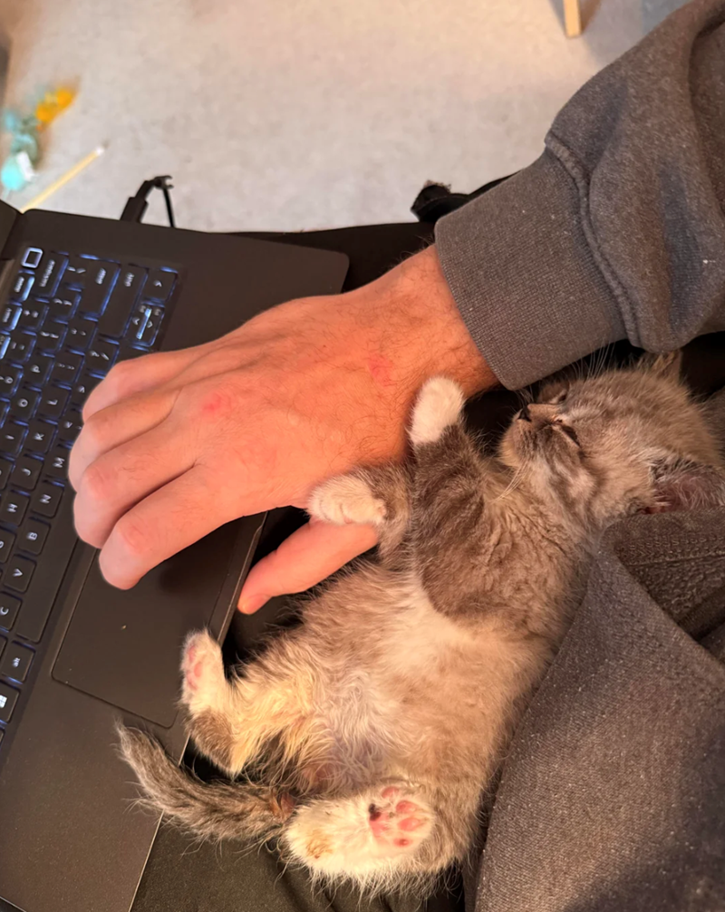 Cheezburger Image 10627318016