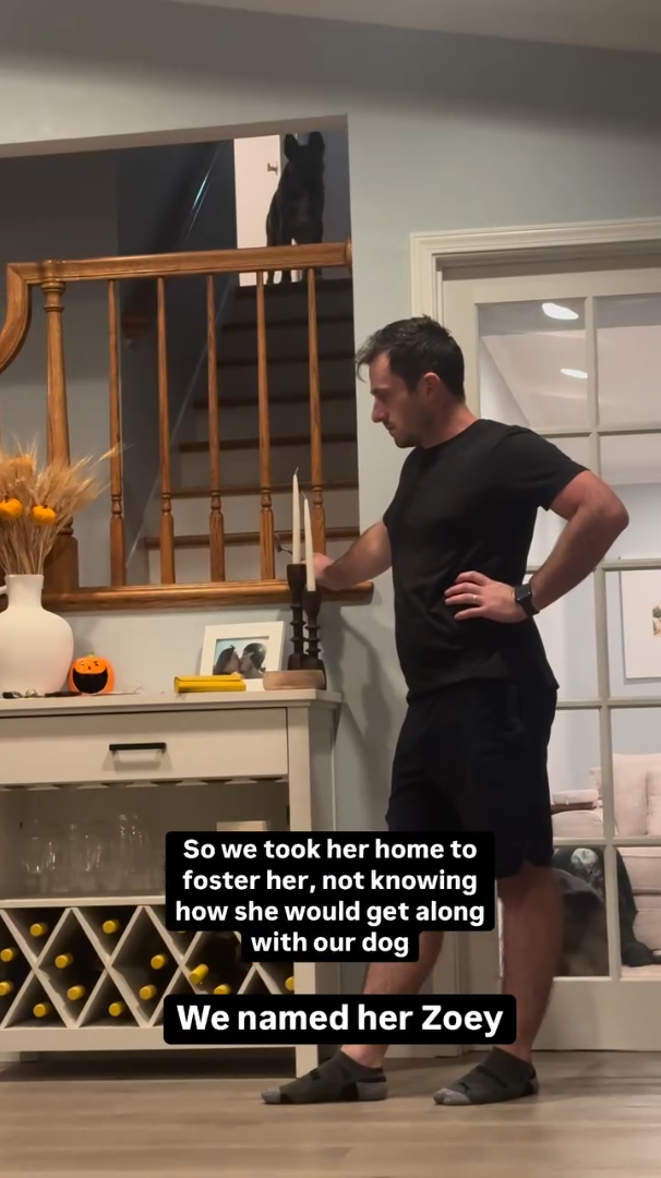 O So we took her home to foster her, not knowing how she would get along with our dog We named her Zoey