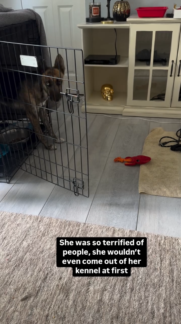 She was so terrified of people, she wouldn't even come out of her kennel at first