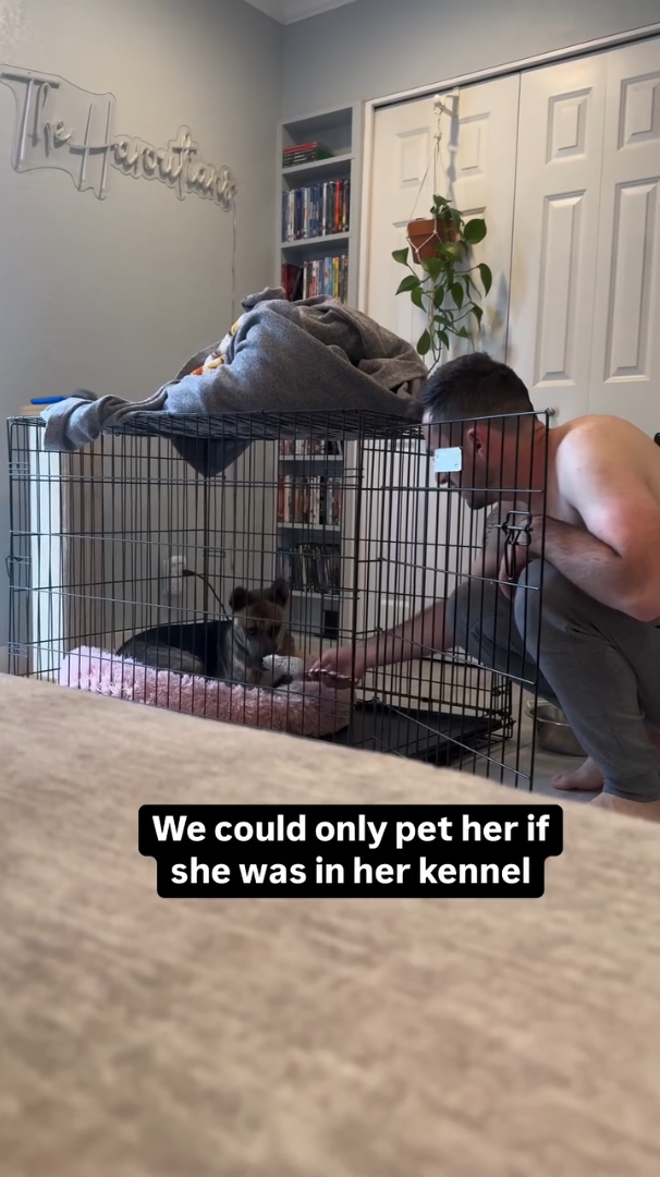 The feariter's We could only pet her if she was in her kennel