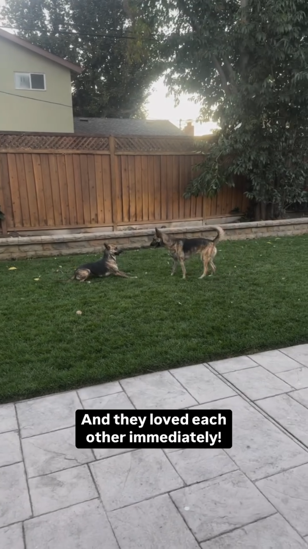 And they loved each other immediately!