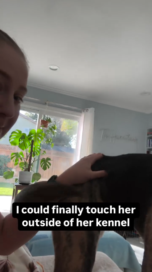 I could finally touch her outside of her kennel