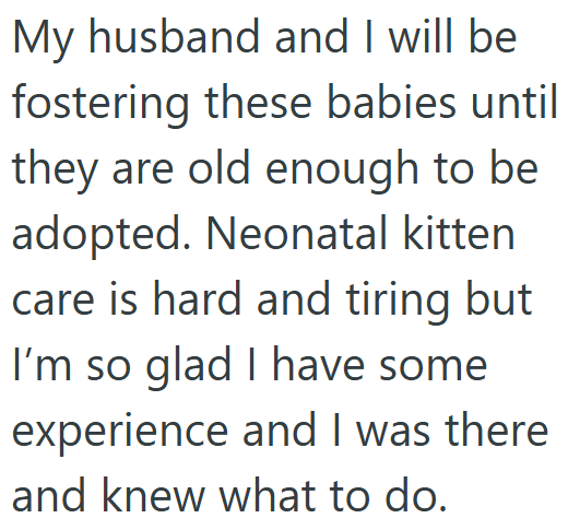 My husband and I will be fostering these babies until they are old enough to be adopted. Neonatal kitten care is hard and tiring but I'm so glad I have some experience and I was there and knew what to do.
