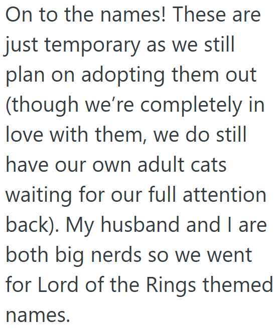 On to the names! These are just temporary as we still plan on adopting them out (though we're completely in love with them, we do still have our own adult cats waiting for our full attention back). My husband and I are both big nerds so we went for Lord of the Rings themed names.