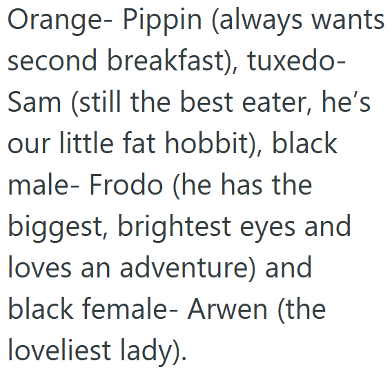 Orange- Pippin (always wants second breakfast), tuxedo- Sam (still the best eater, he's our little fat hobbit), black male- Frodo (he has the biggest, brightest eyes and loves an adventure) and black female- Arwen (the loveliest lady).