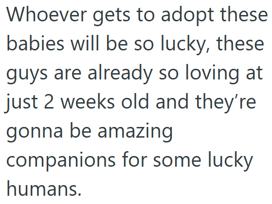 Whoever gets to adopt these babies will be so lucky, these guys are already so loving at just 2 weeks old and they're gonna be amazing companions for some lucky humans.