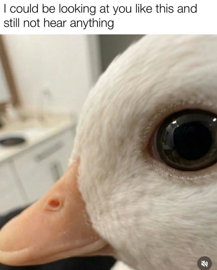 I could be looking at you like this and still not hear anything