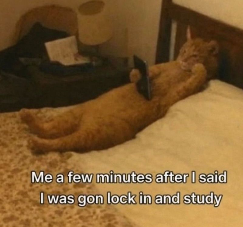 Me a few minutes after I said I was gon lock in and study