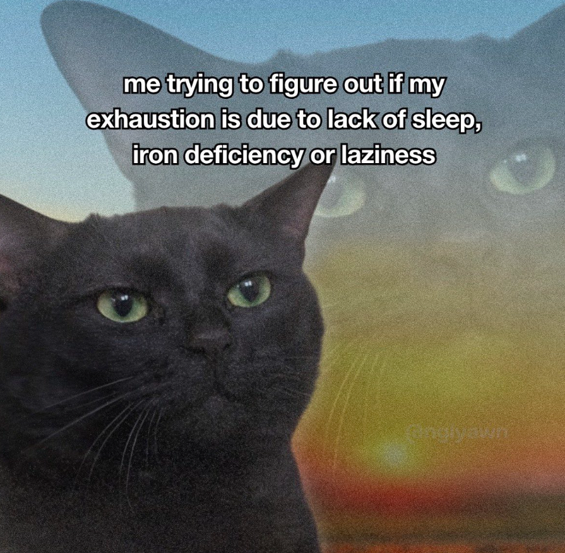 me trying to figure out if my exhaustion is due to lack of sleep, iron deficiency or laziness