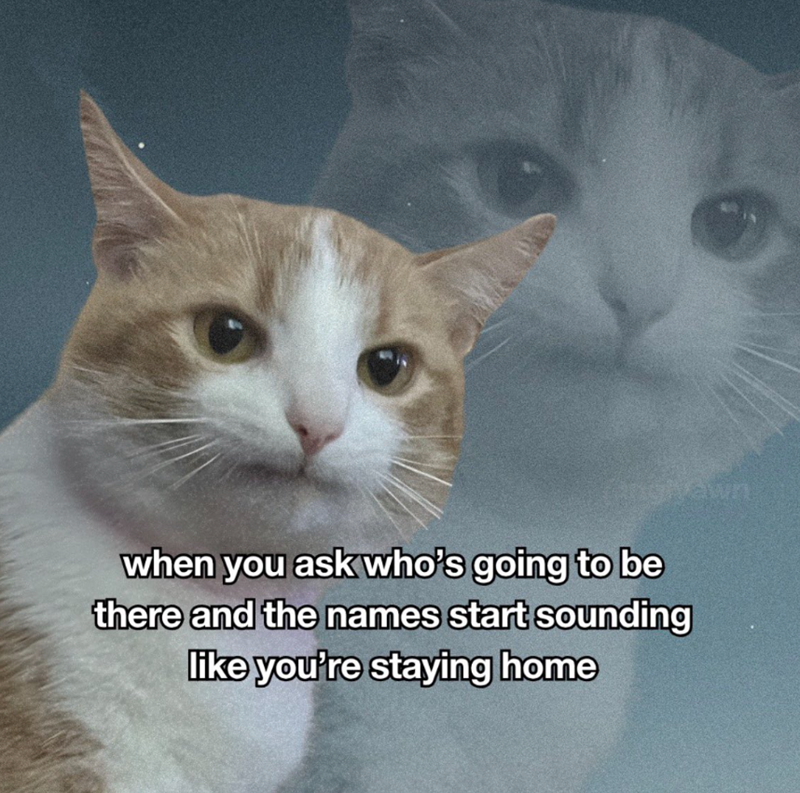 when you ask who's going to be there and the names start sounding like you're staying home awn