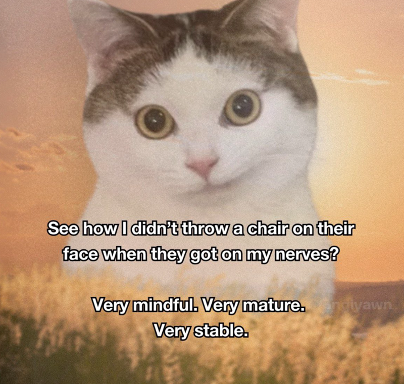 See how I didn't throw a chair on their face when they got on my nerves? Very mindful. Very mature.ndiyawn Very stable.