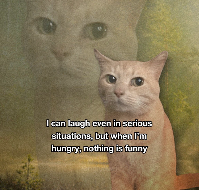 I can laugh even in serious situations, but when I'm hungry, nothing is funny Gingivaln