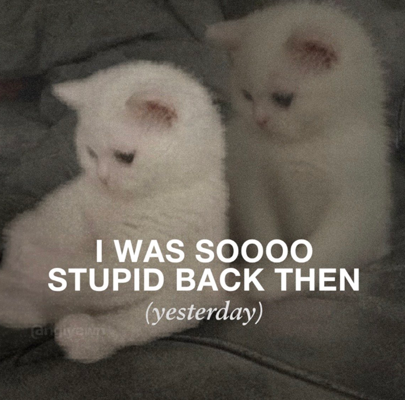 I WAS SOOOO STUPID BACK THEN angiyen (yesterday)