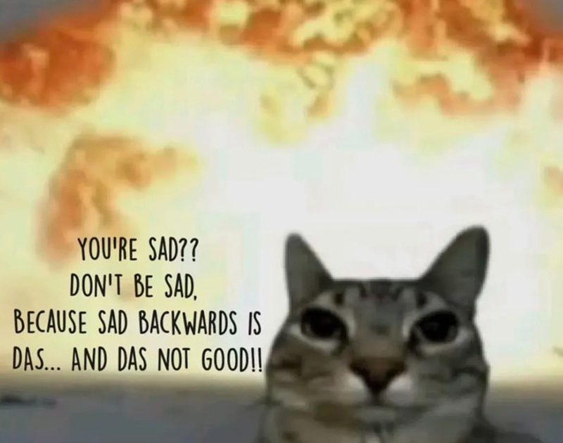 YOU'RE SAD?? DON'T BE SAD, BECAUSE SAD BACKWARDS IS DAS... AND DAS NOT GOOD!!