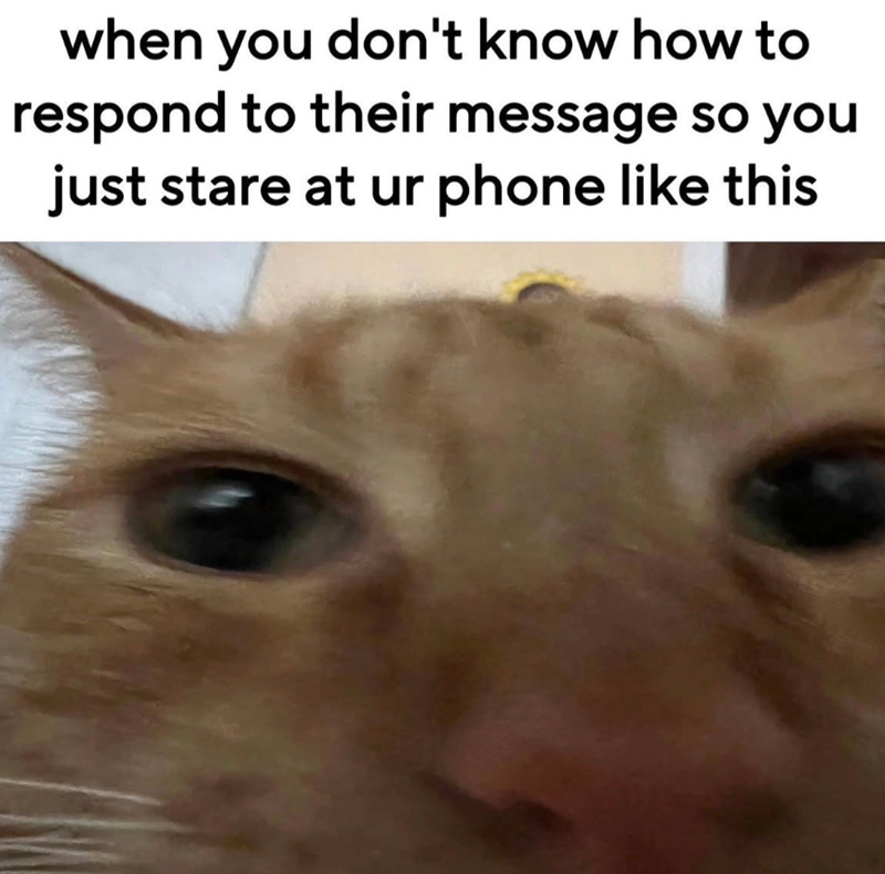 when you don't know how to respond to their message so you just stare at ur phone like this