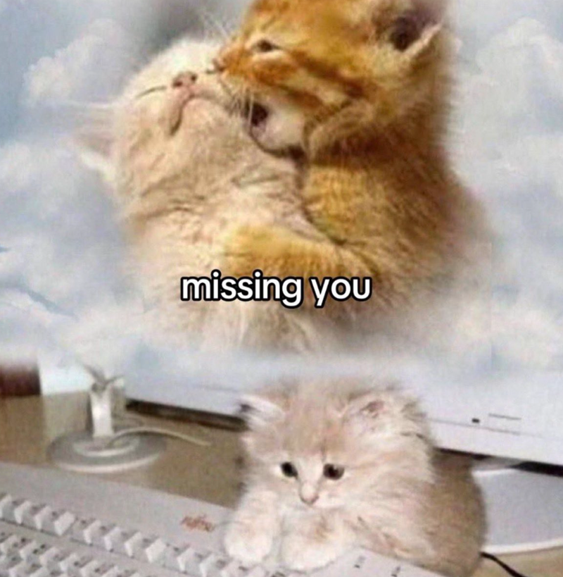 missing you