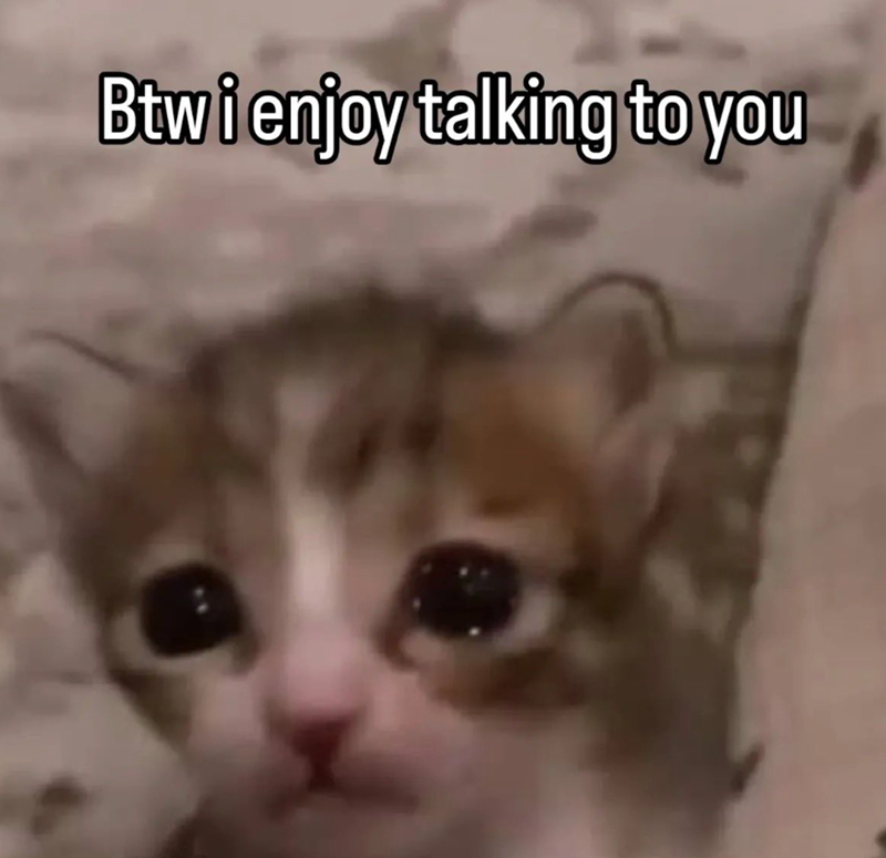 Btw i enjoy talking to you