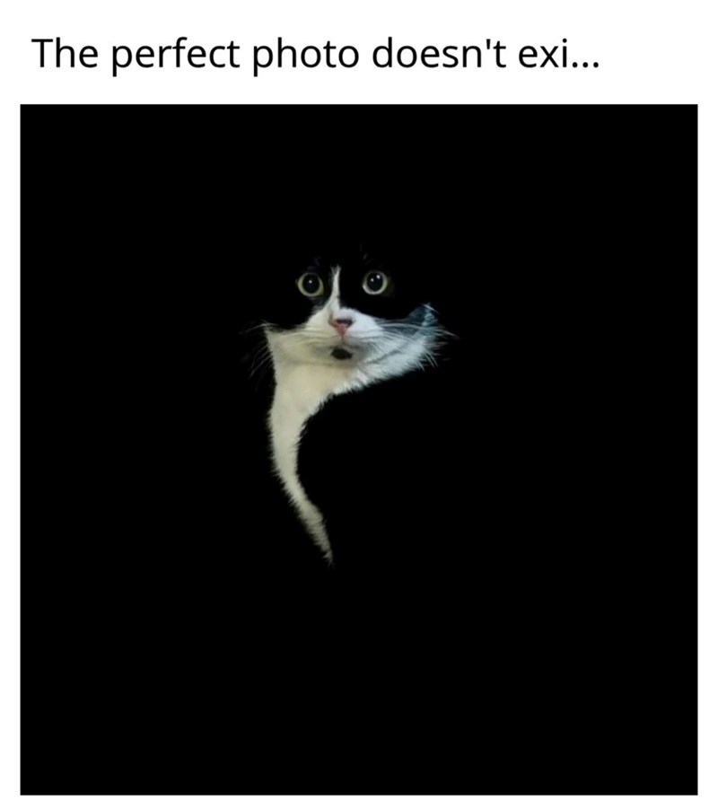 The perfect photo doesn't exi...