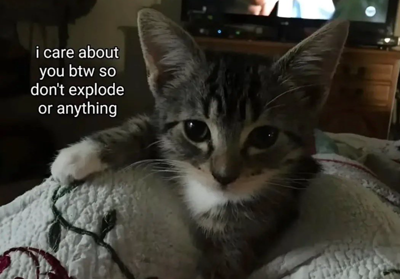 i care about you btw so don't explode or anything