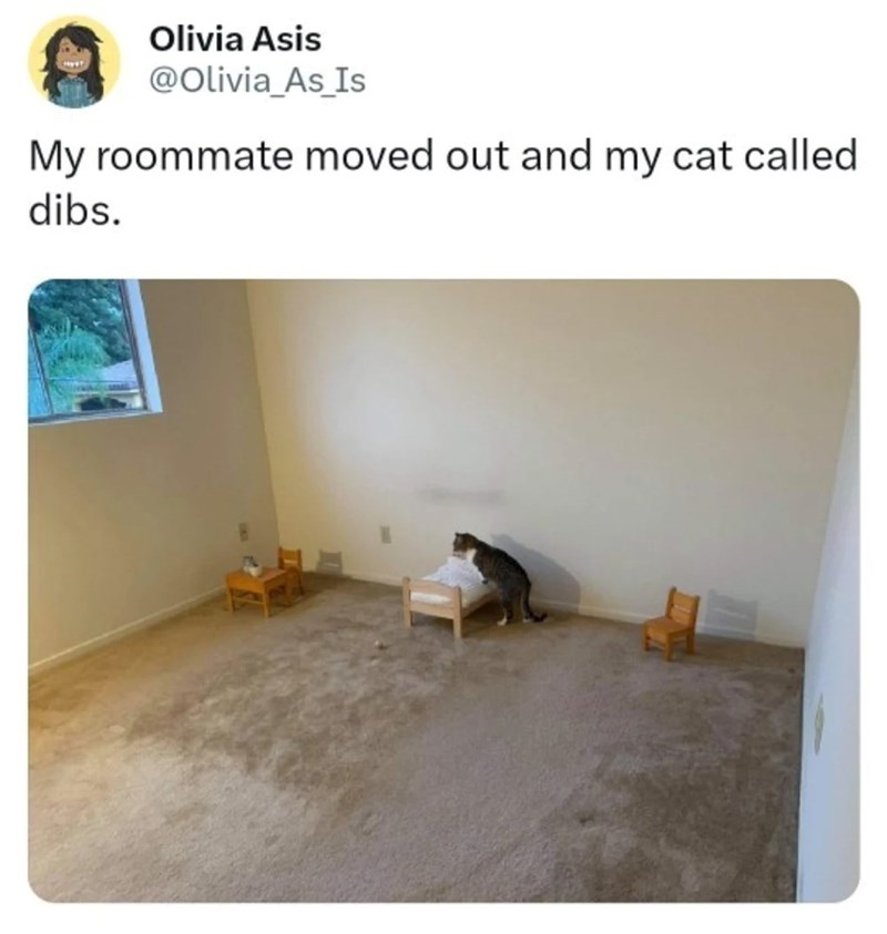 Olivia Asis @Olivia_As_Is My roommate moved out and my cat called. dibs.