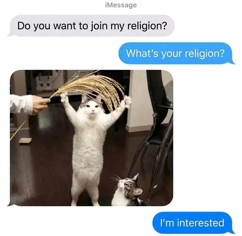 ¡Message Do you want to join my religion? What's your religion? I'm interested