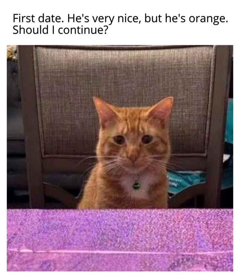 First date. He's very nice, but he's orange. Should I continue?