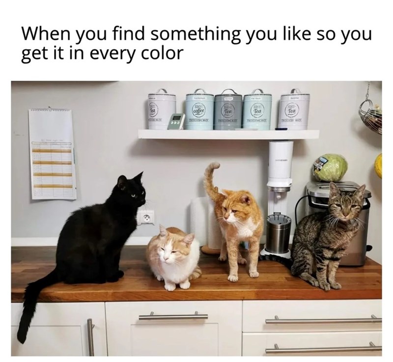 When you find something you like so you get it in every color 000 coffee Tea Tea Tea