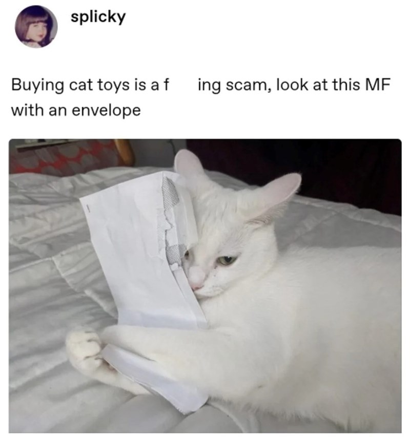 splicky Buying cat toys is a f with an envelope ing scam, look at this MF