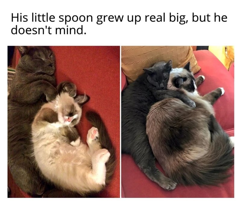 His little spoon grew up real big, but he doesn't mind.