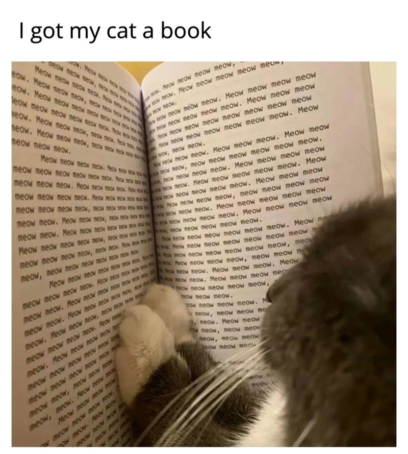 I got my cat a book wow. Meow meow meow meow, meow meow. Meow meow meow meow meow meow meow meow, new BRN TRON W. Meow to Ma Meow meow meow meow Meow meow meo eow. Meow meow meow, meow meow meow eow. Meow meow meow meow meow meoNEXE eow meow meow meow meow meow. Yeoke eow. Meow meow meow, meow meow. Meow, meow. Meow meow meow, meow meow meow meow meow meow meow. Meow meow meow meow. Meow meow meow neow meow ow meow meow meow meow. Meow meow meow meow neow meow meow meow meow. Meow meow meow Meow