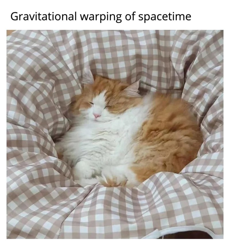 Gravitational warping of spacetime