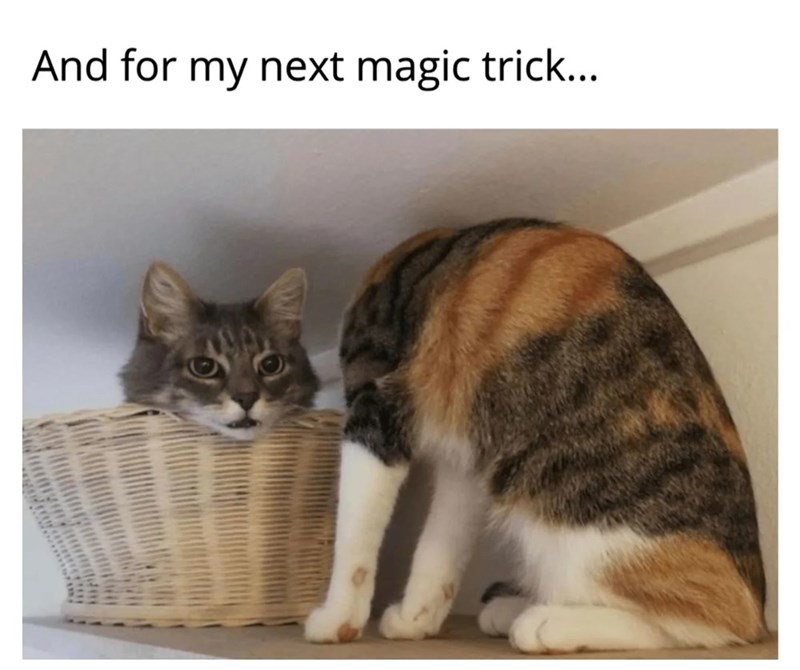 And for my next magic trick...