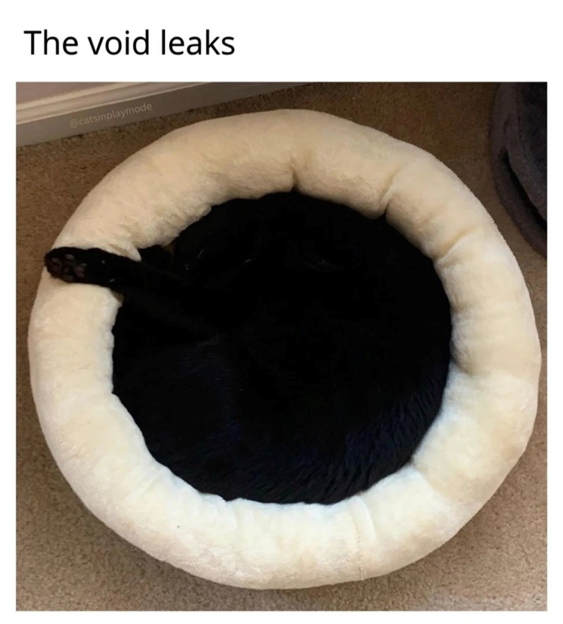 The void leaks @catsinplaymode