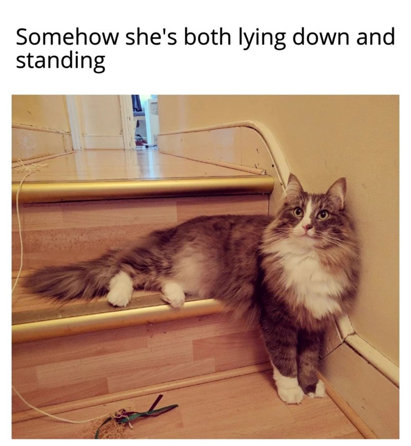 Somehow she's both lying down and standing