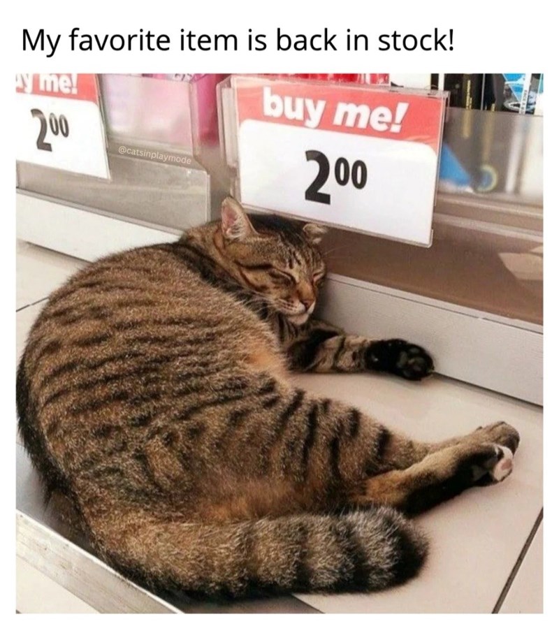 My favorite item is back in stock! y me! 200 @catsinplaymode buy me! 200