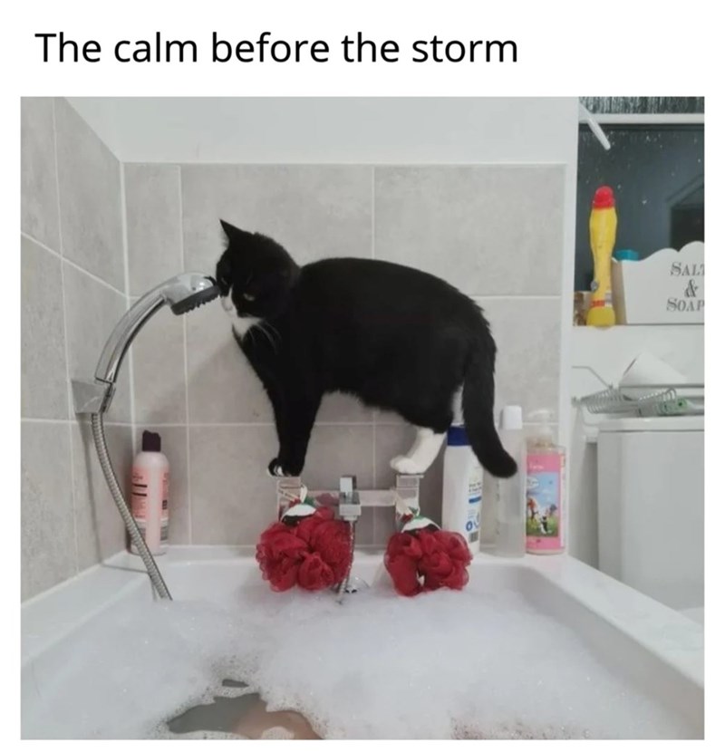 The calm before the storm SAL & SOAP