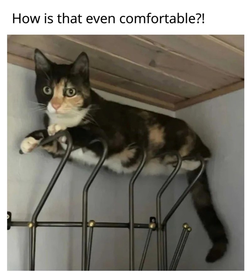 How is that even comfortable?!
