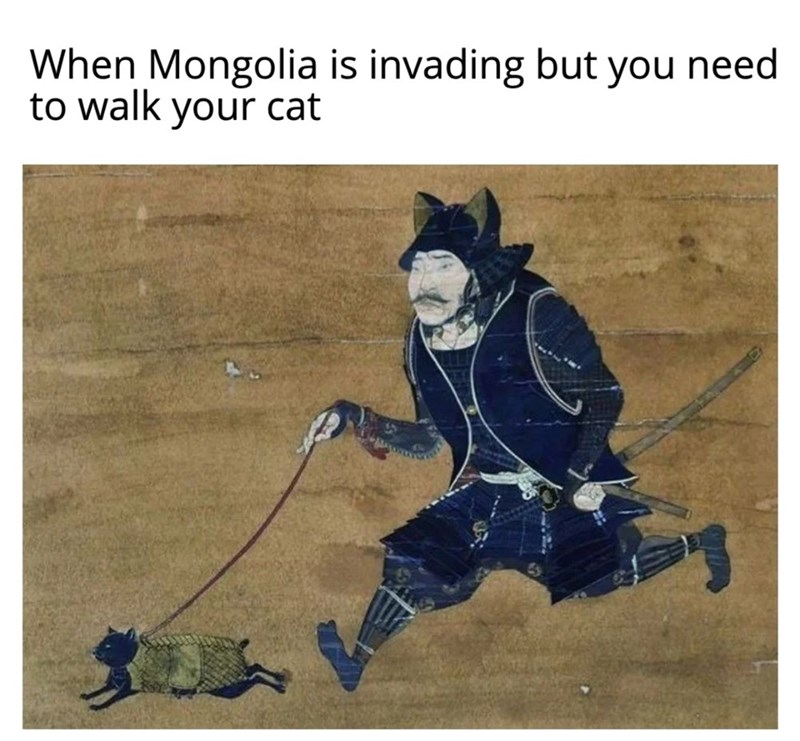 When Mongolia is invading but you need to walk your cat