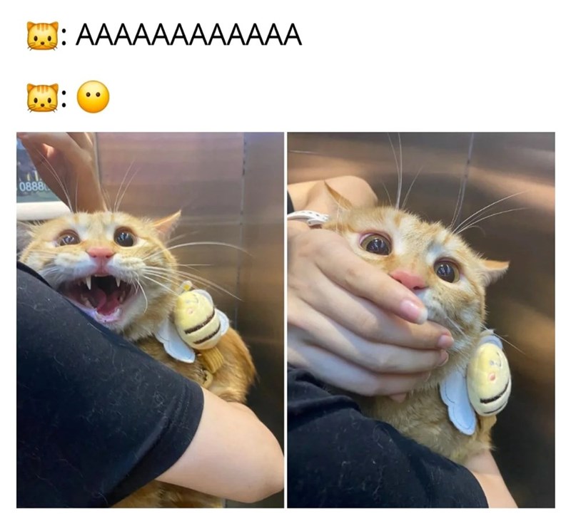 71. 0888 : AAAAAAAAAAAA