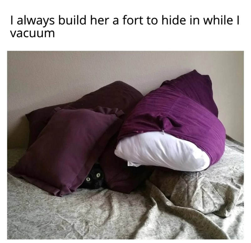 I always build her a fort to hide in while I vacuum