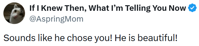 If I Knew Then, What I'm Telling You Now @AspringMom Sounds like he chose you! He is beautiful!